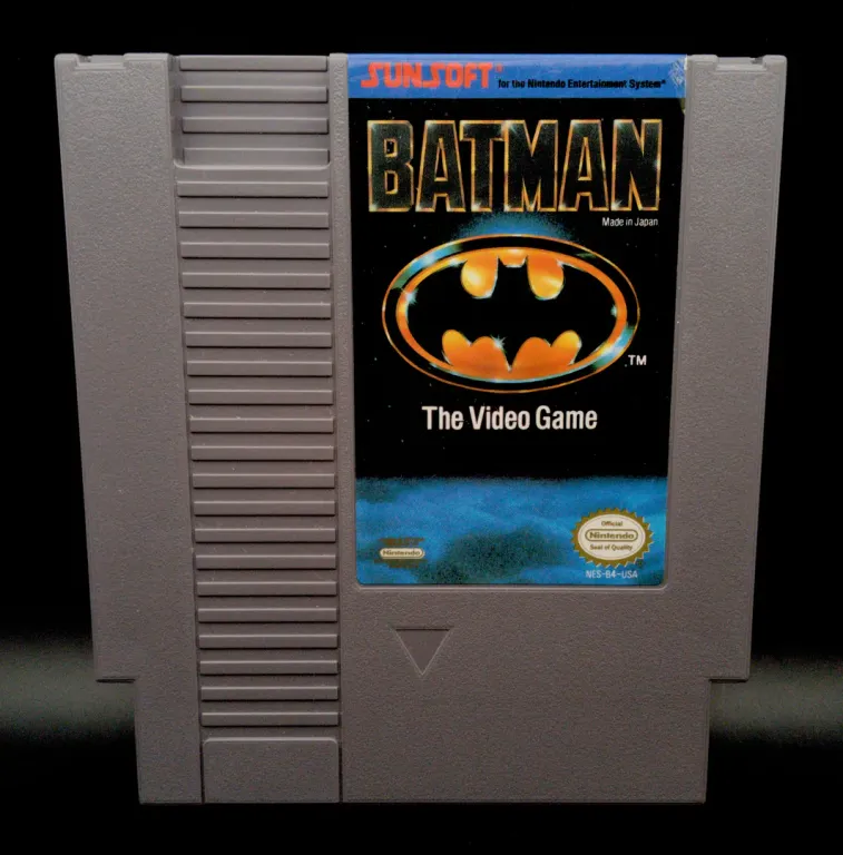 A photo of the game: Batman The Video Game