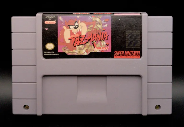 A photo of the game: Taz-Mania